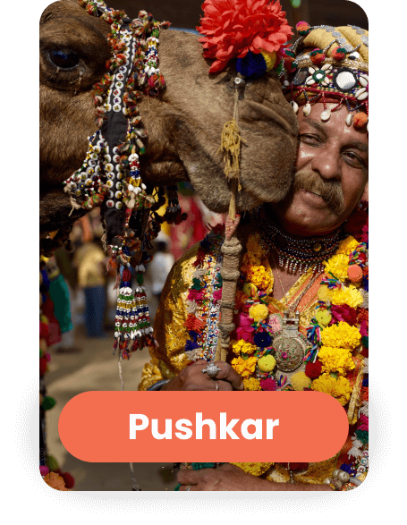 Madpackers Pushkar Hostel